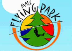 Flying Park